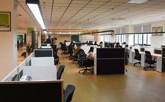 又是园区 拿下全球知名电子制造服务企业的最大商务办公点