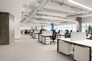 技术服务商务办公室设计 融合专业与商务的服务空间营造